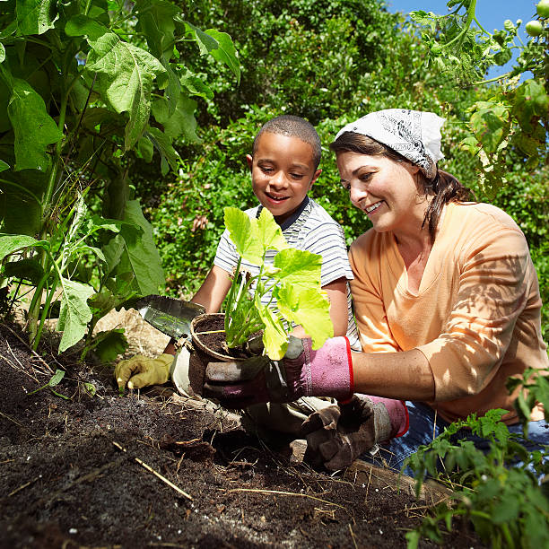 7 Reasons Farm Fresh To You is a Great CSA for Busy Families